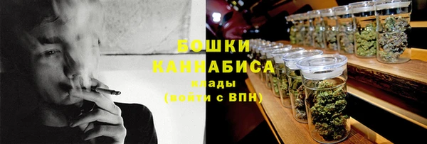 дживик Богородицк