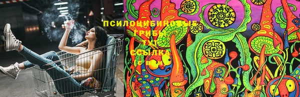 молекула духа Белоозёрский