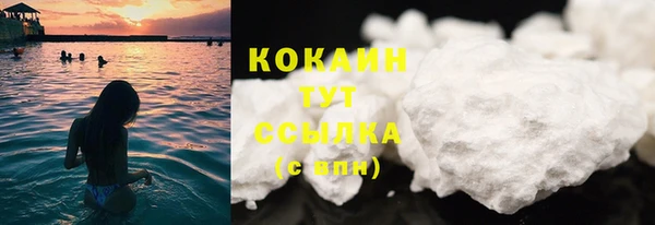 молекула духа Белоозёрский
