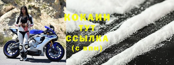 ПСИЛОЦИБИНОВЫЕ ГРИБЫ Богданович
