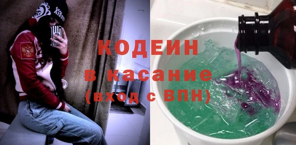 ПСИЛОЦИБИНОВЫЕ ГРИБЫ Богданович