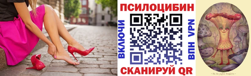 Псилоцибиновые грибы GOLDEN TEACHER  Бологое 
